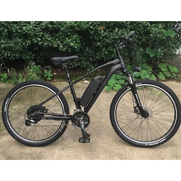 48V 350W Disc Brake E-Bike